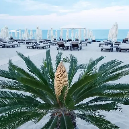 студио водолей ابزور