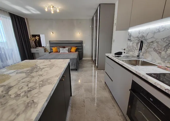 студио водолей オブゾー