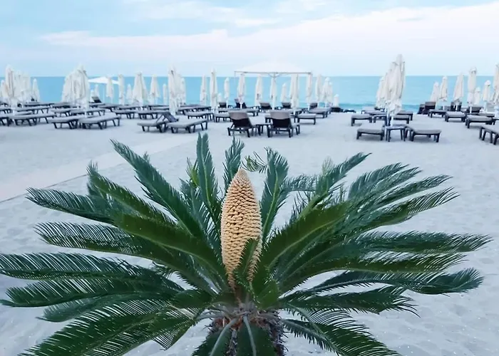 студио водолей オブゾー