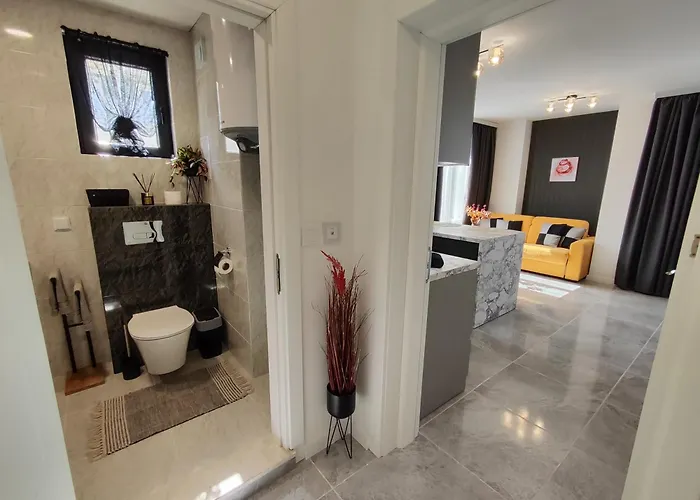 студио водолей アパート *